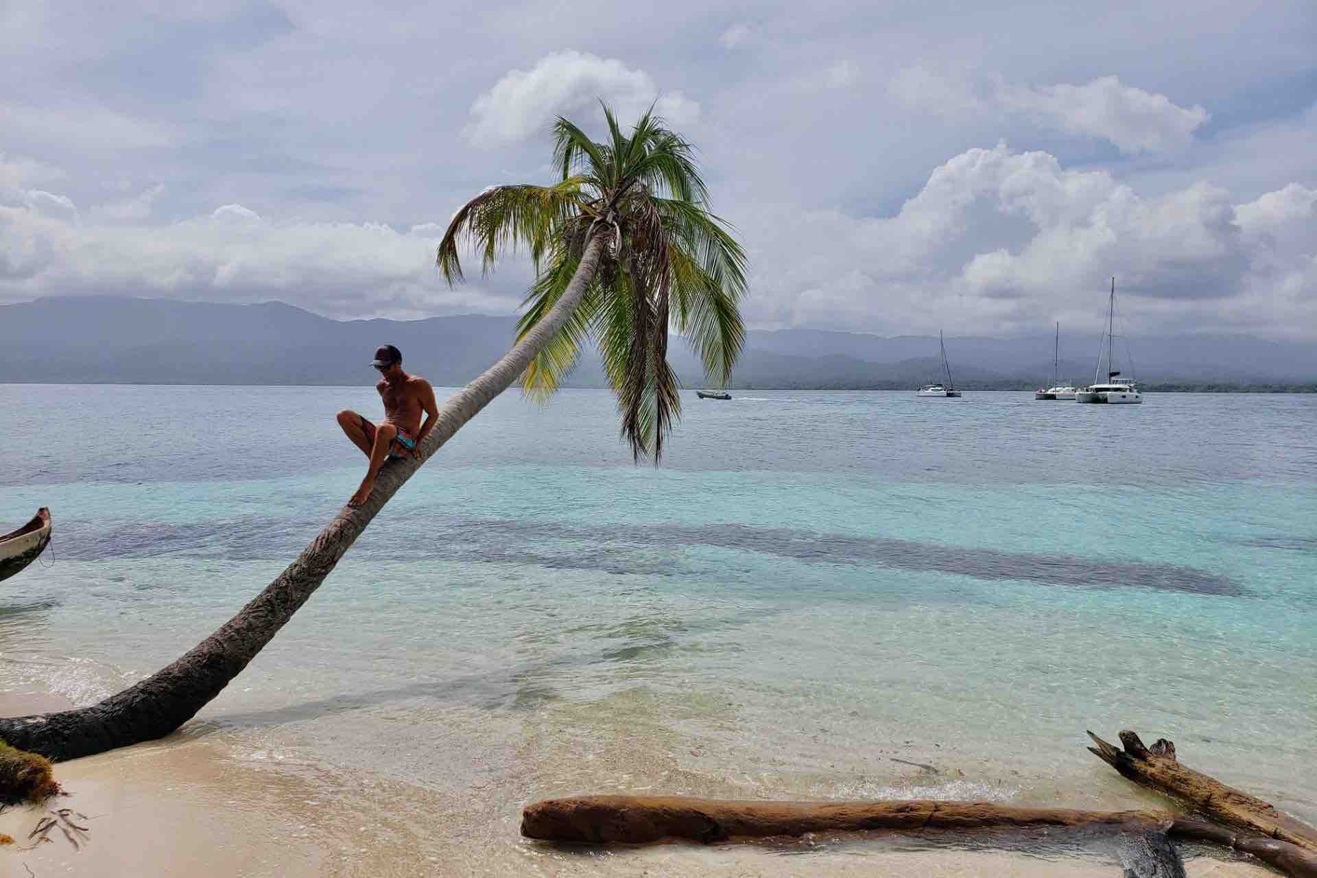 San Blas islands palm tree climbing man