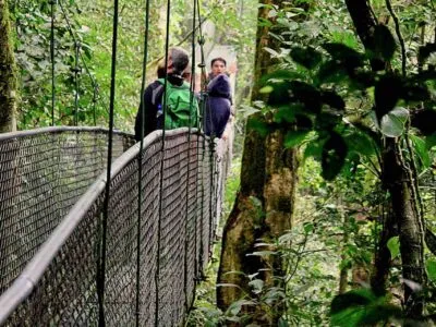 Monteverde Skybridge with guests