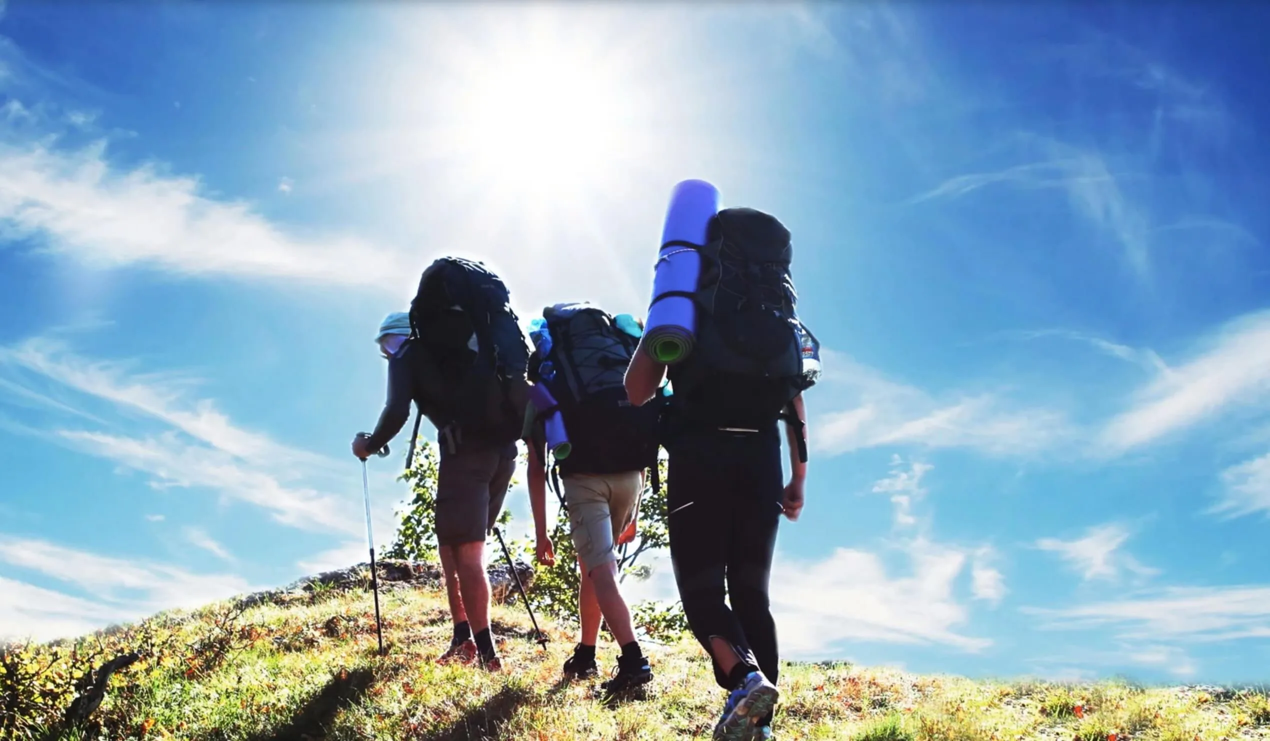 Wix3 group of three hikers on a grassy hill
