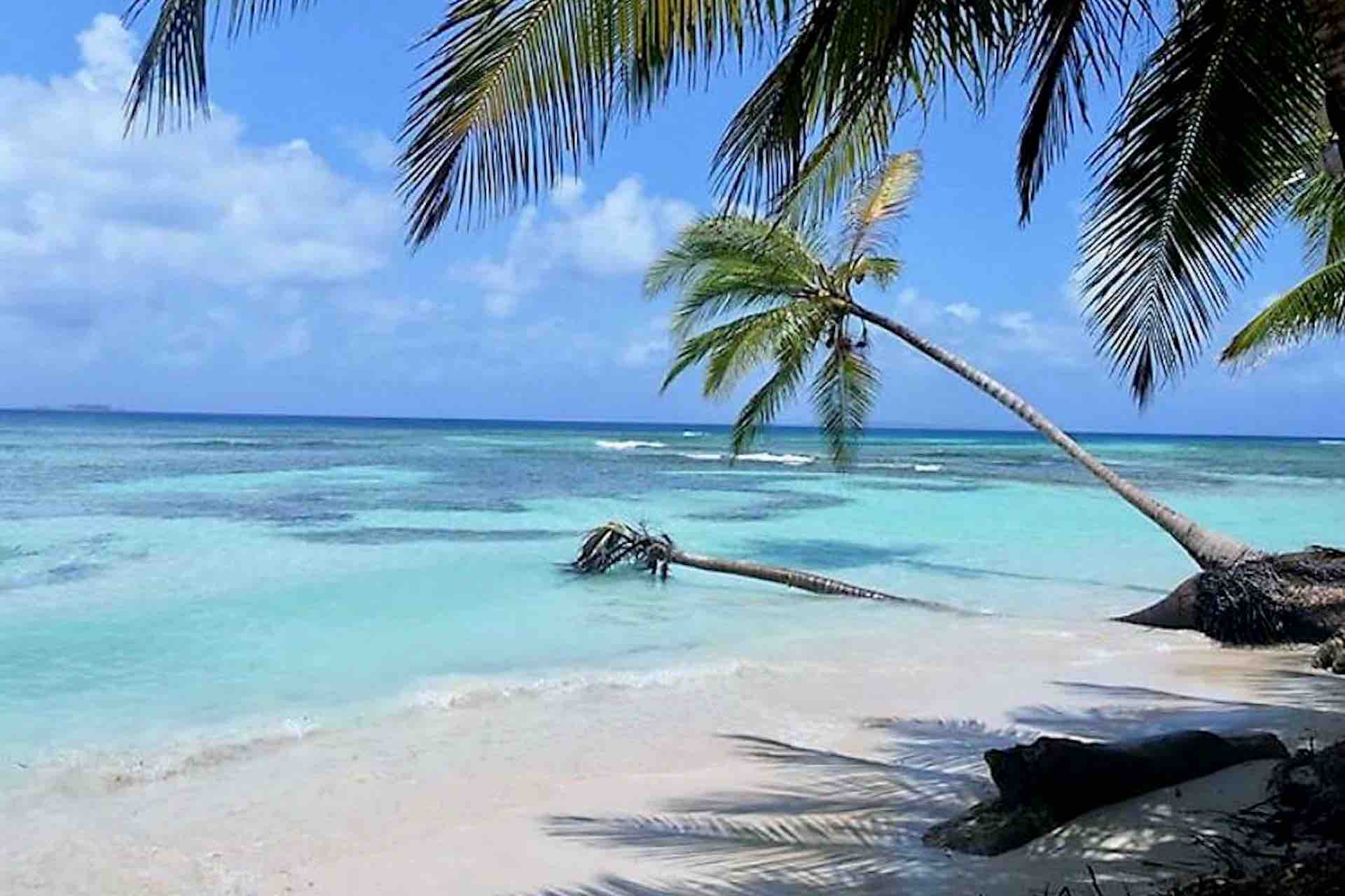 Isla Aroma San Blas paradise beach palm trees turquoise ocean