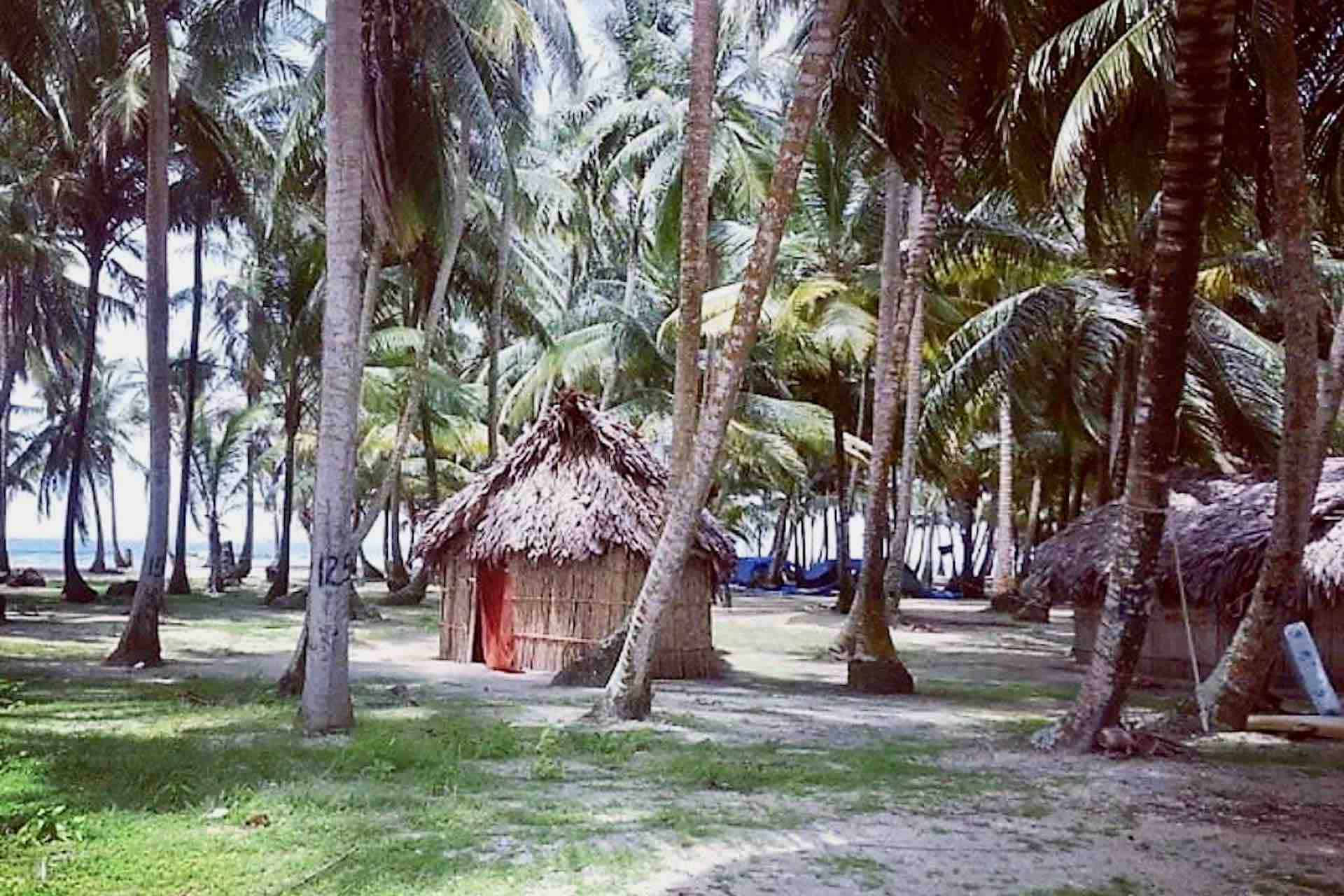 Isla Aroma San Blas traditional island hut palm trees