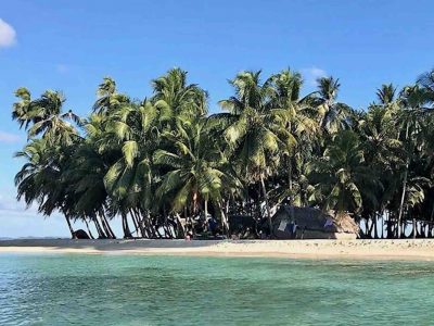 san blas island beach with palm trees