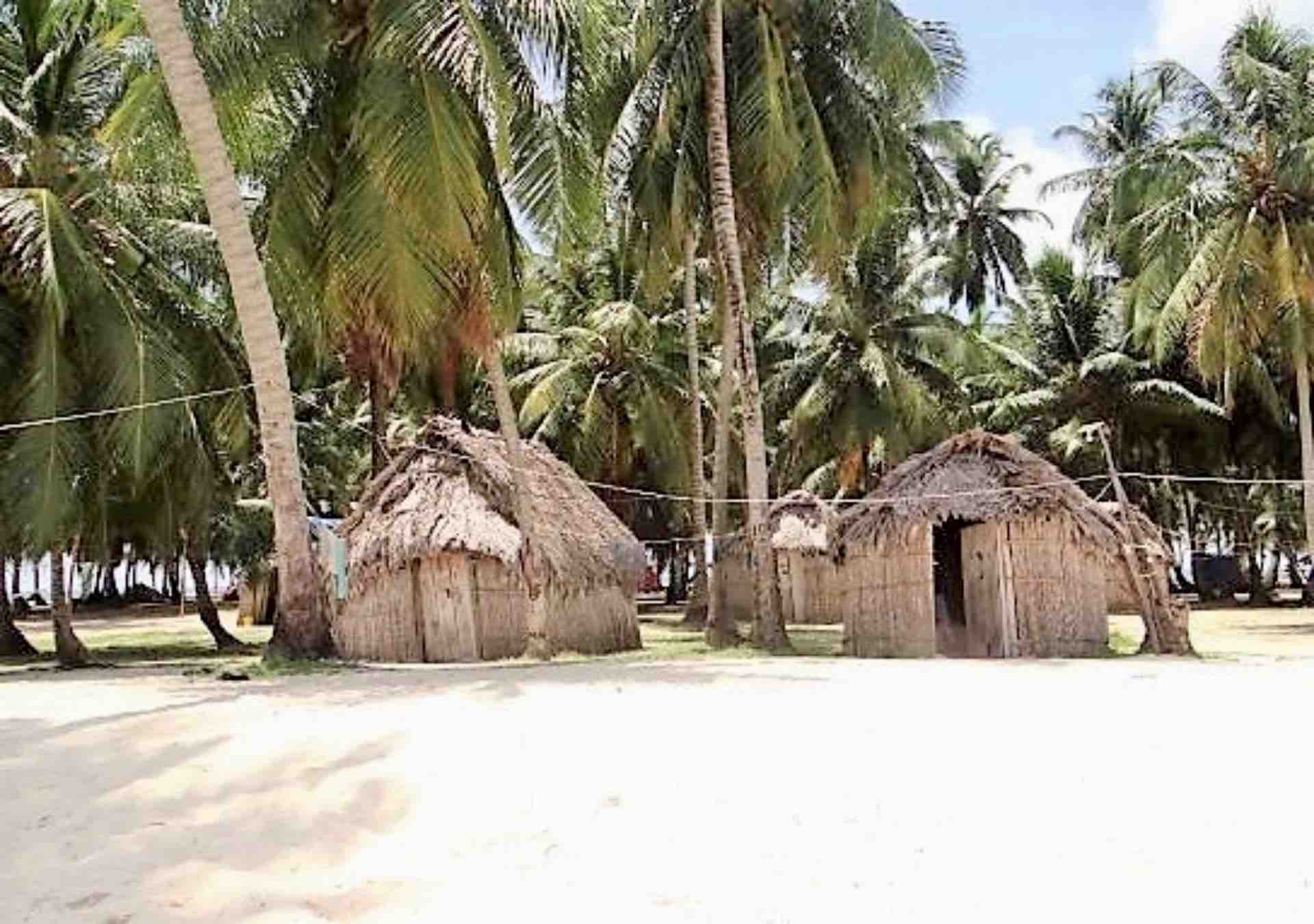 Traditional thatched cabins beneath palm trees at Isla Asserya in San Blas, Panama