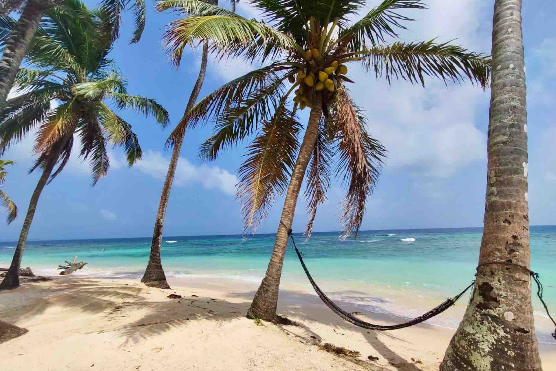 Hammock beneath palm trees on Isla Asserya beach in the San Blas Islands