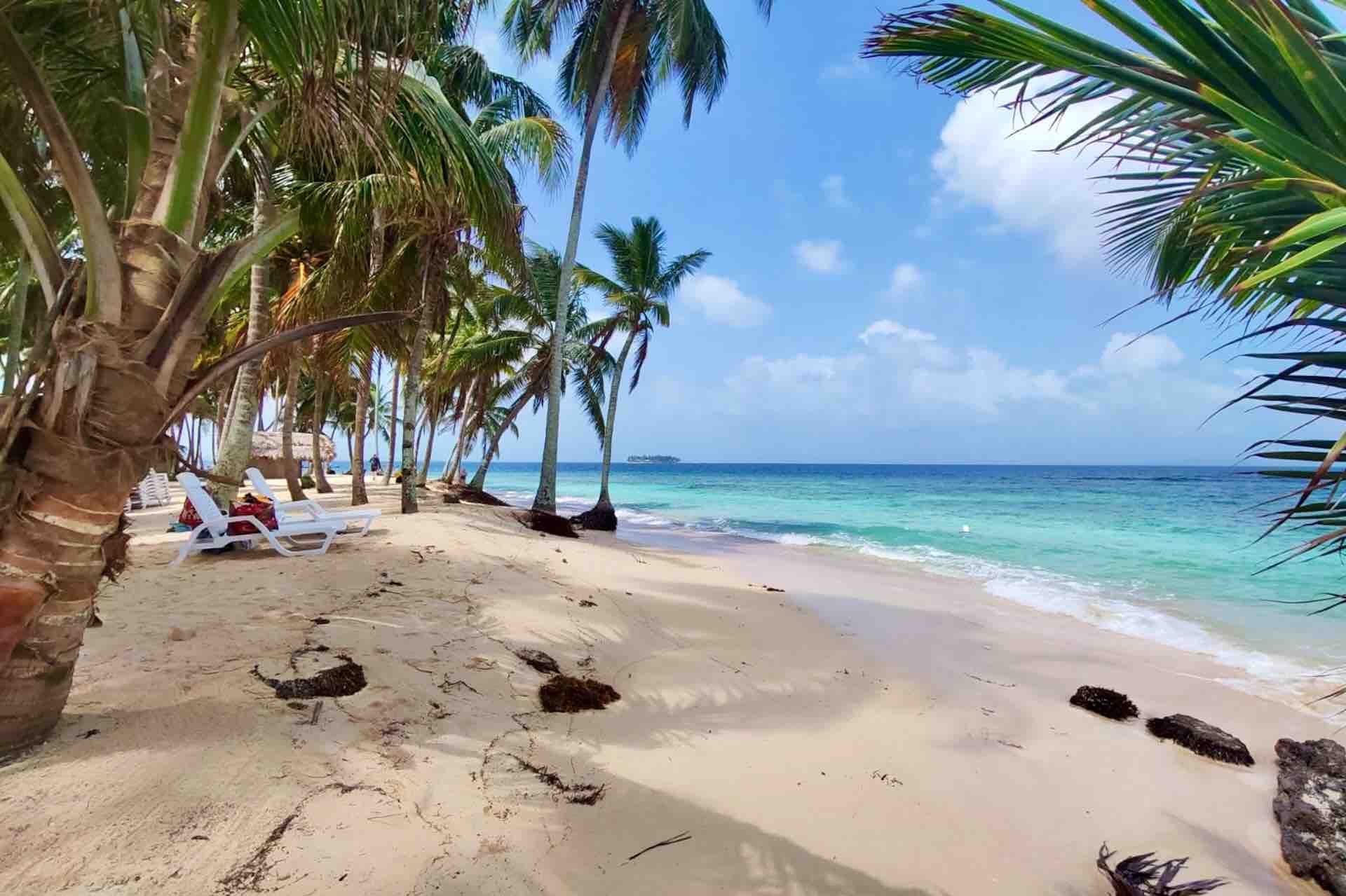 Palm-lined beach with lounge chairs at Isla Aroma accommodation in San Blas Panama