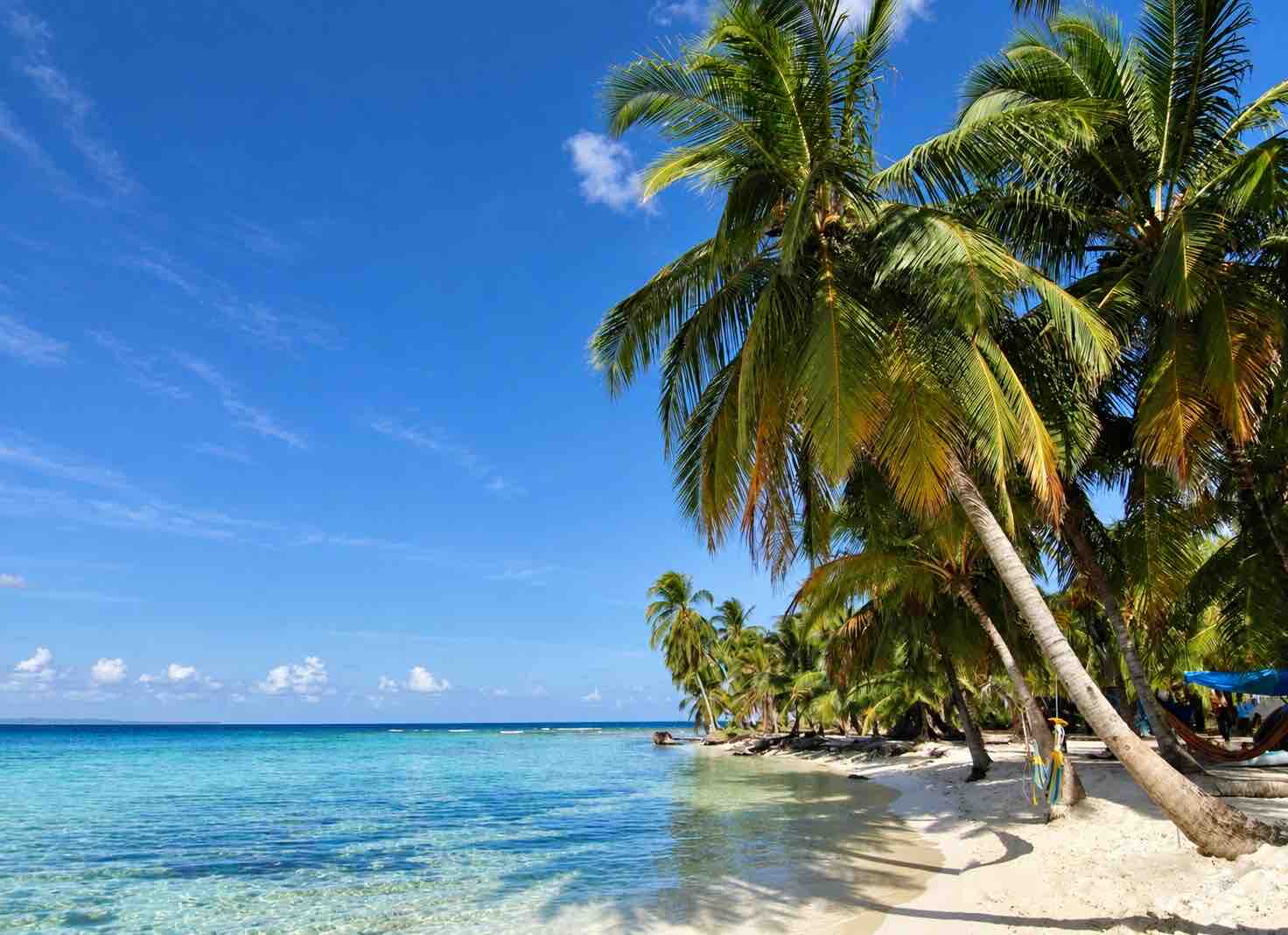Palm-lined shoreline and clear water on Isla Diablo San Blas