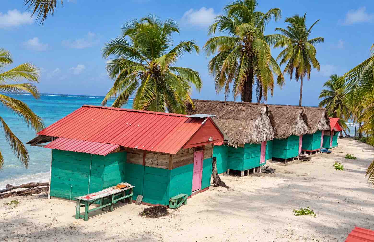 Rustic private cabins beneath palm trees on Isla Diablo San Blas