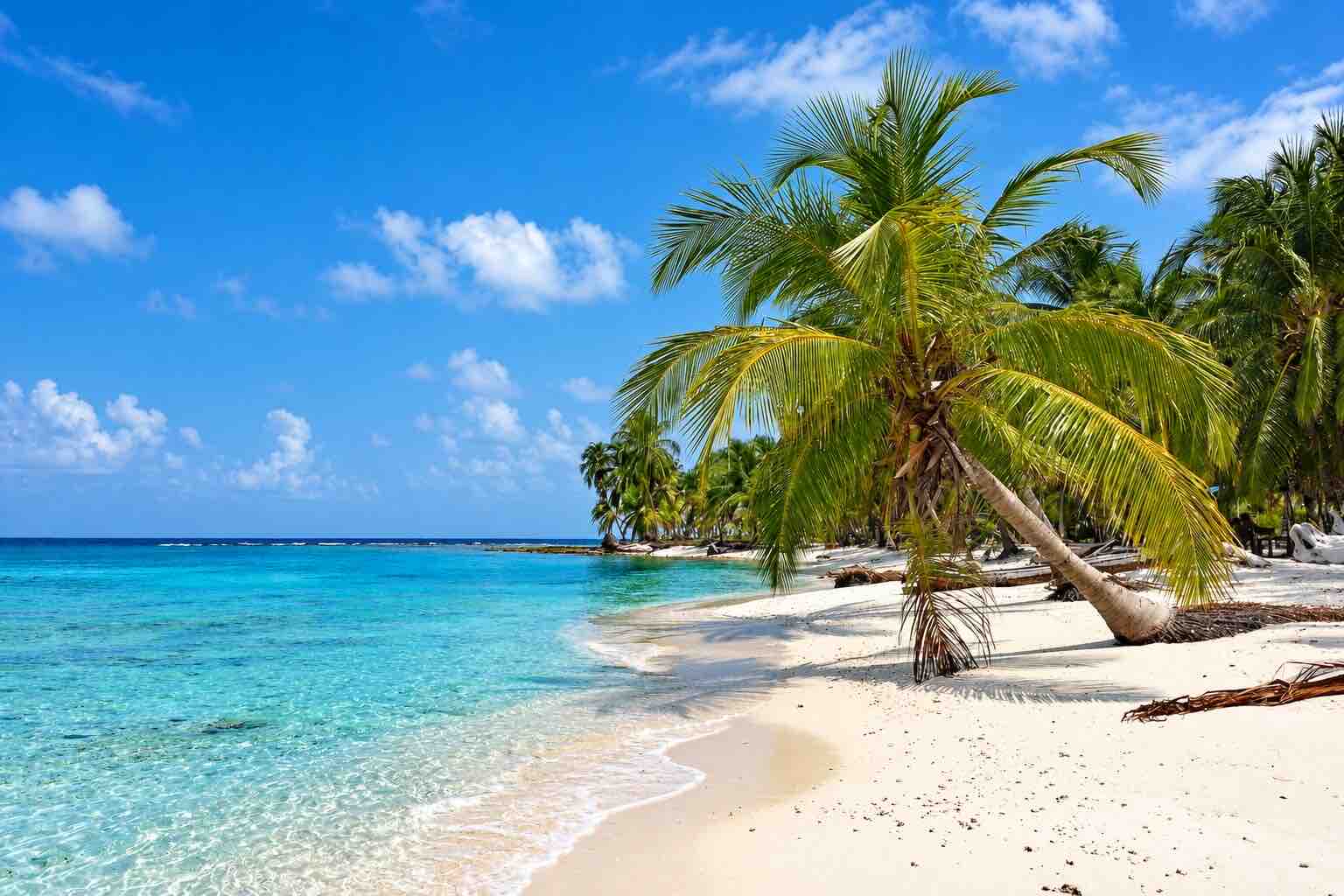 Turquoise Caribbean beach and leaning palm trees on Isla Diablo San Blas