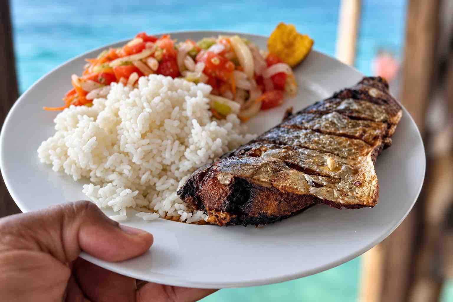 Fish lunch served at Isla Narasgandup San Blas
