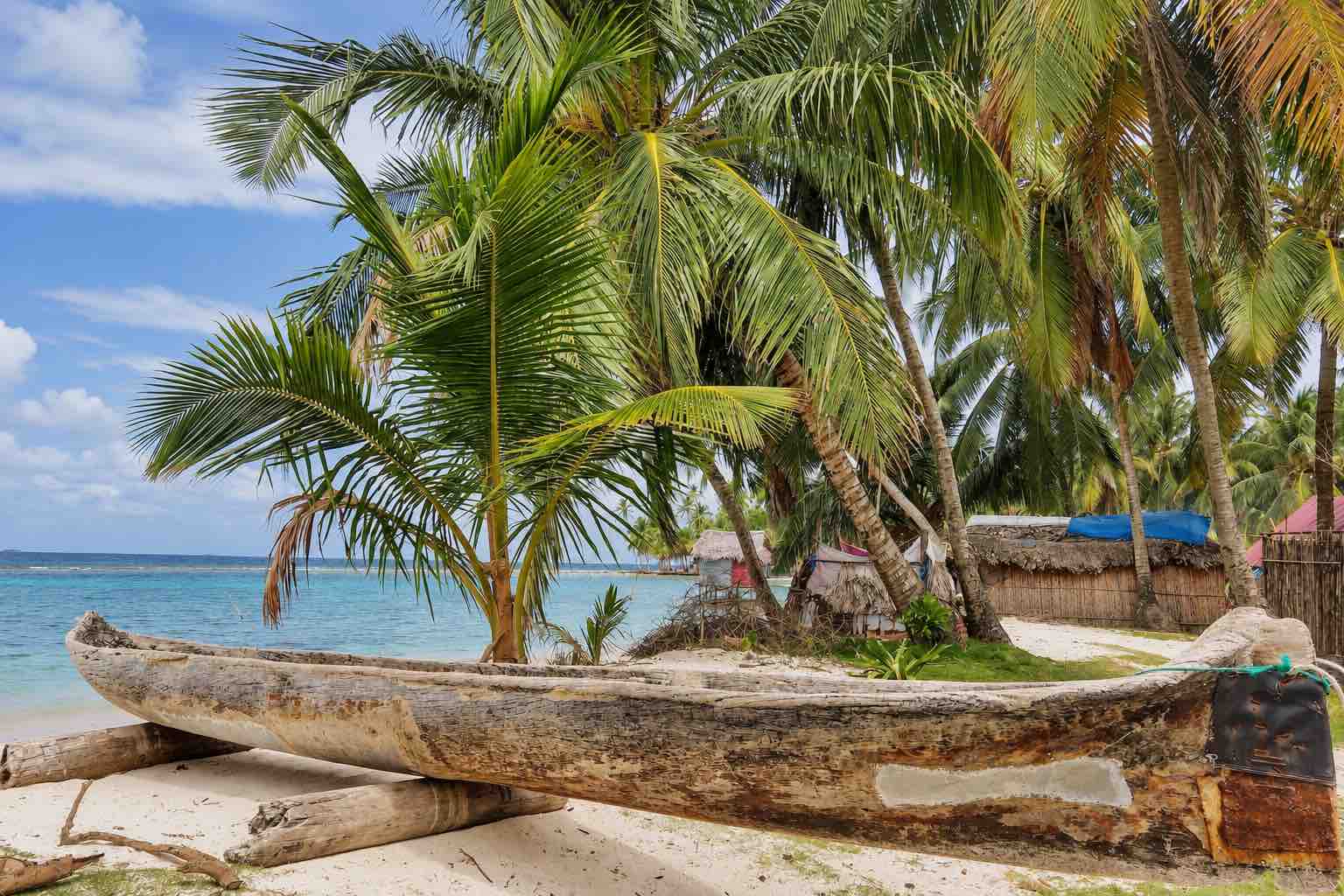 Traditional carved Guna ulu canoe resting beneath palm trees