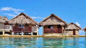 Oceanfront Cabin, Private Bath, Wood Floor