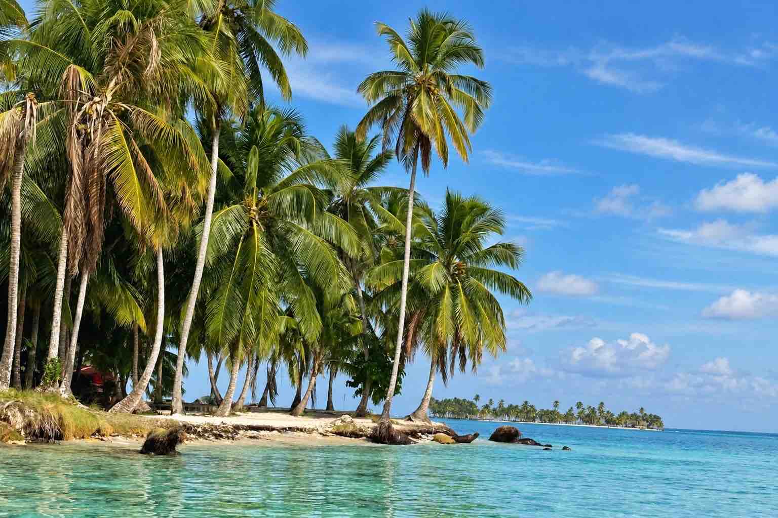 Tropical palm shoreline at Isla Narasgandup San Blas