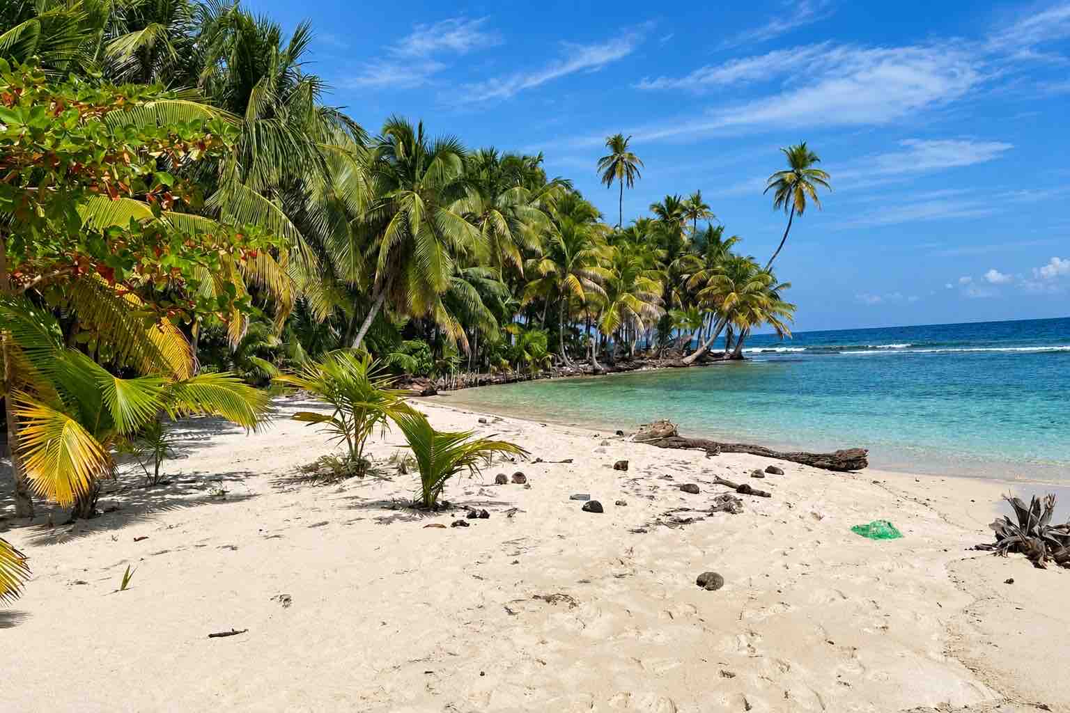 White-sand beach and palms at Isla Narasgandup San Blas