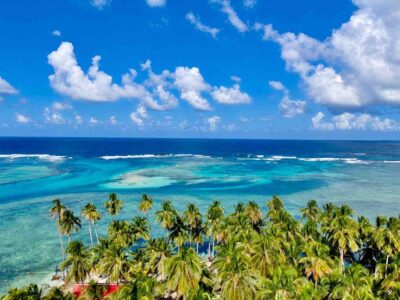 Drone view over palm trees and turquoise reef