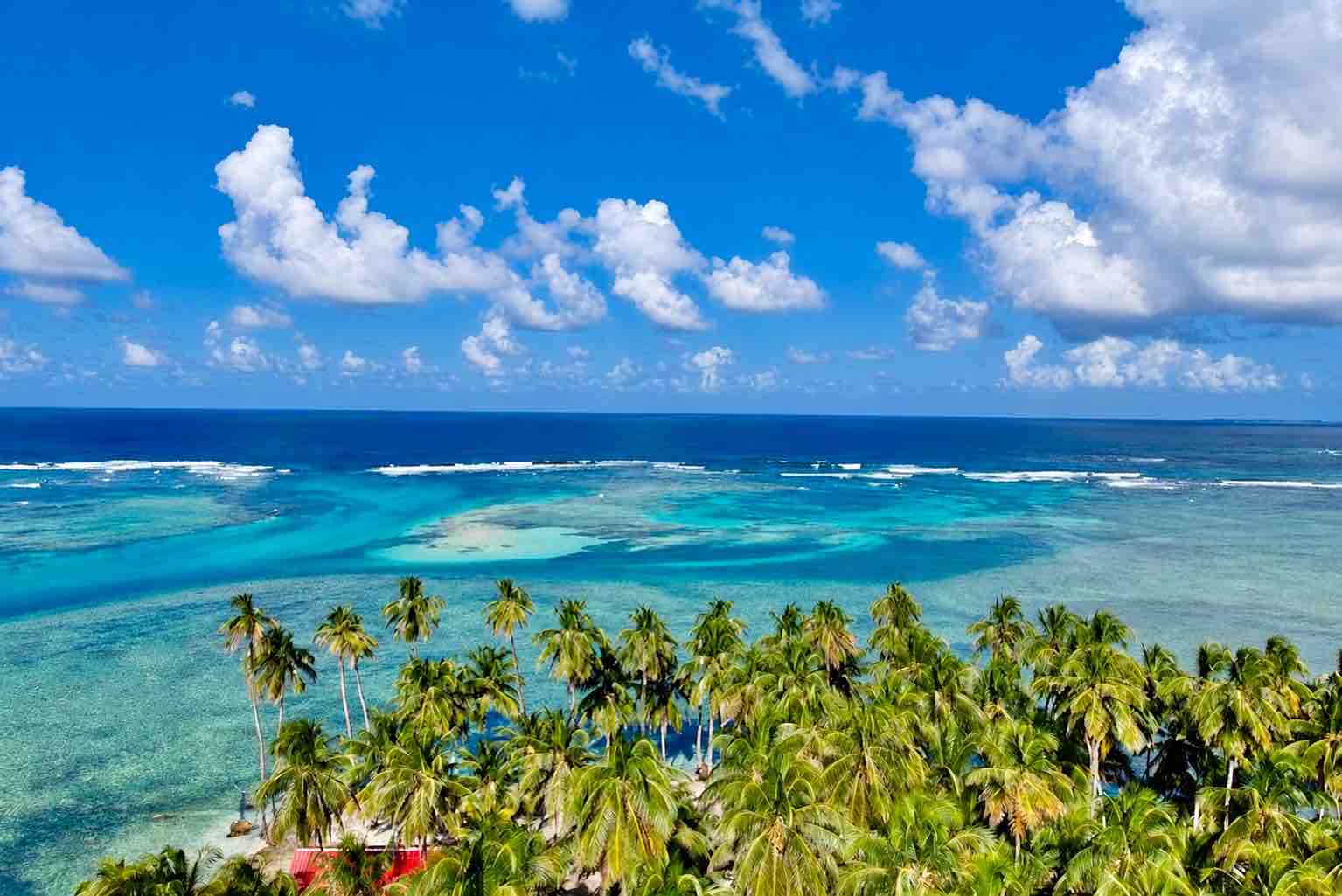 Drone view over palm trees and turquoise reef