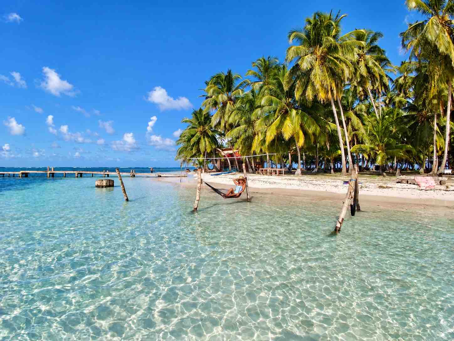 Palm-lined shoreline seen across shallow water