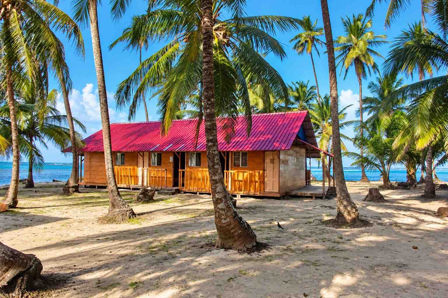 Wooden rooms with a red roof near a palm-lined beach
