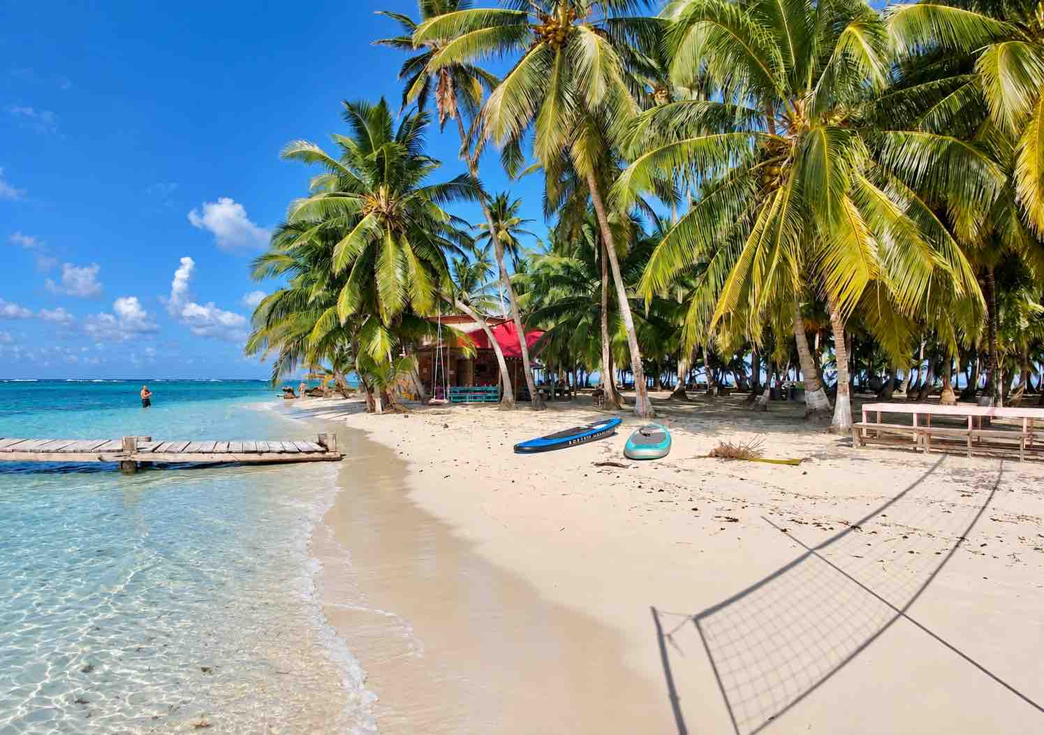 Palm trees along a sandy beach and calm water