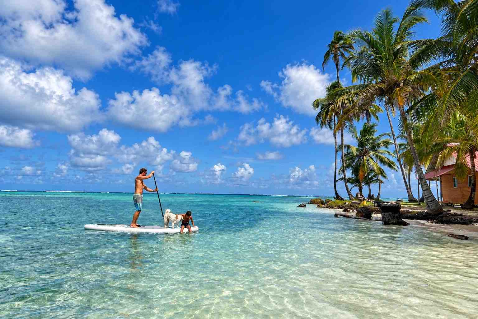 Guests enjoying shallow water near the palm-lined shore