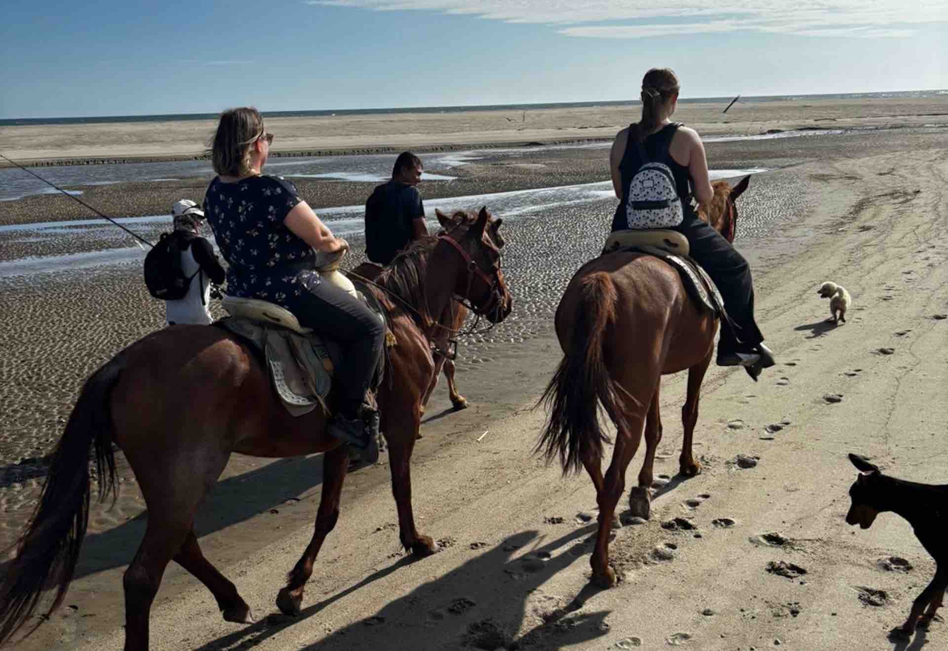 Beach Horseback Riding Huatulco tour with guide