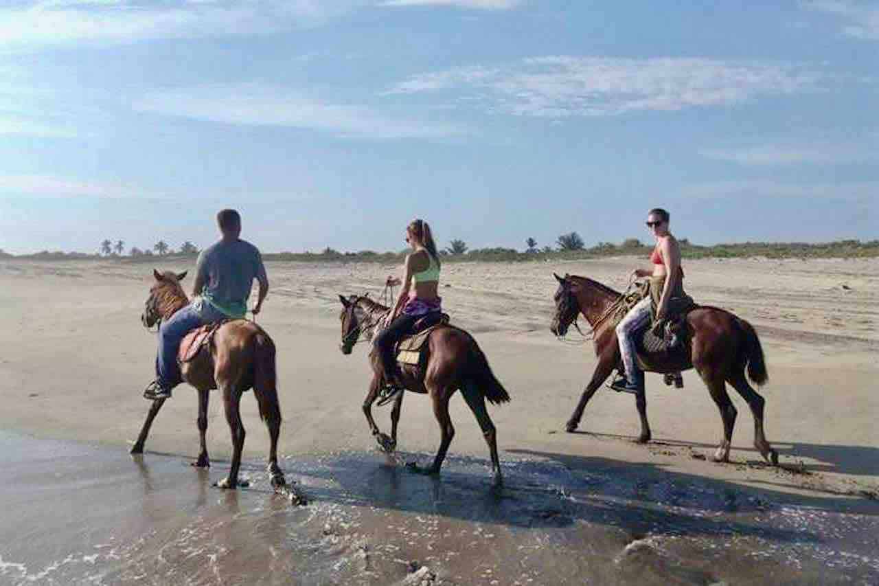 Beach Horseback riding guests on empty beach