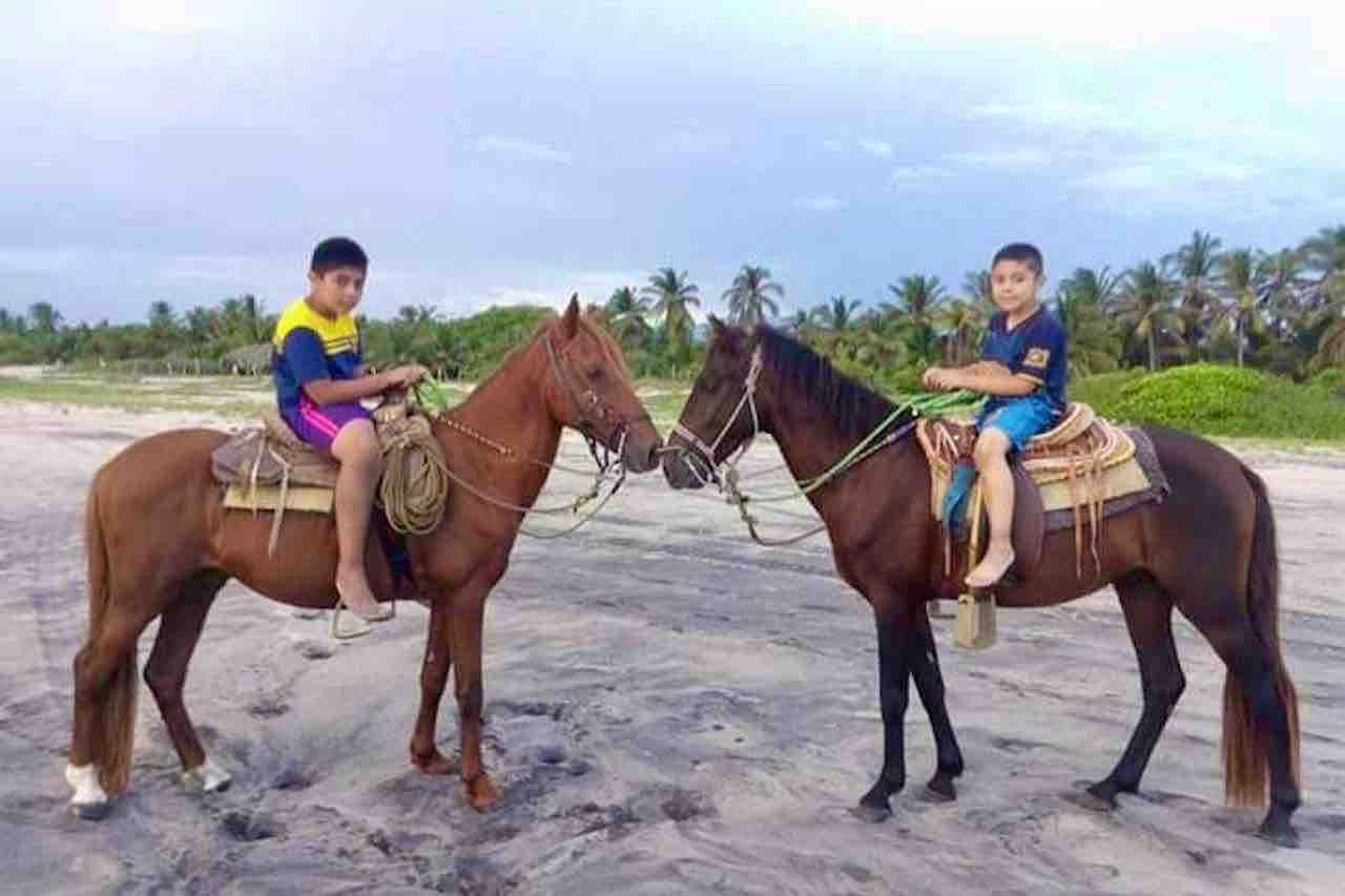 Beach Horseback riding children on horse