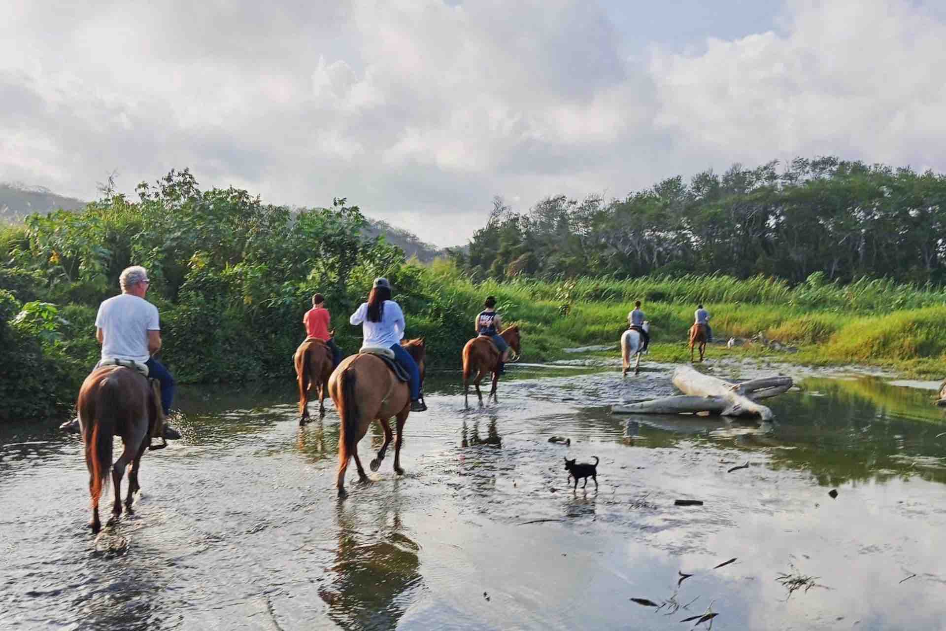 beach horseback riding copalita huatulco tours guest tourist group