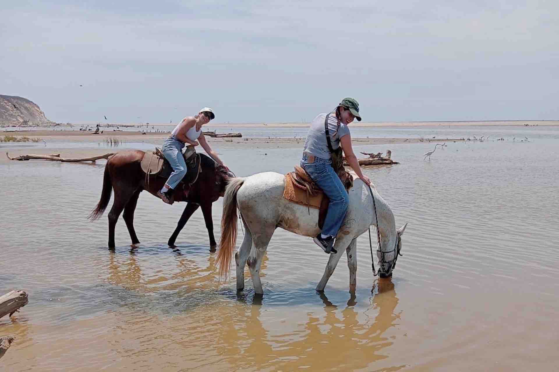 beach horseback riding copalita huatulco tours horses drinking