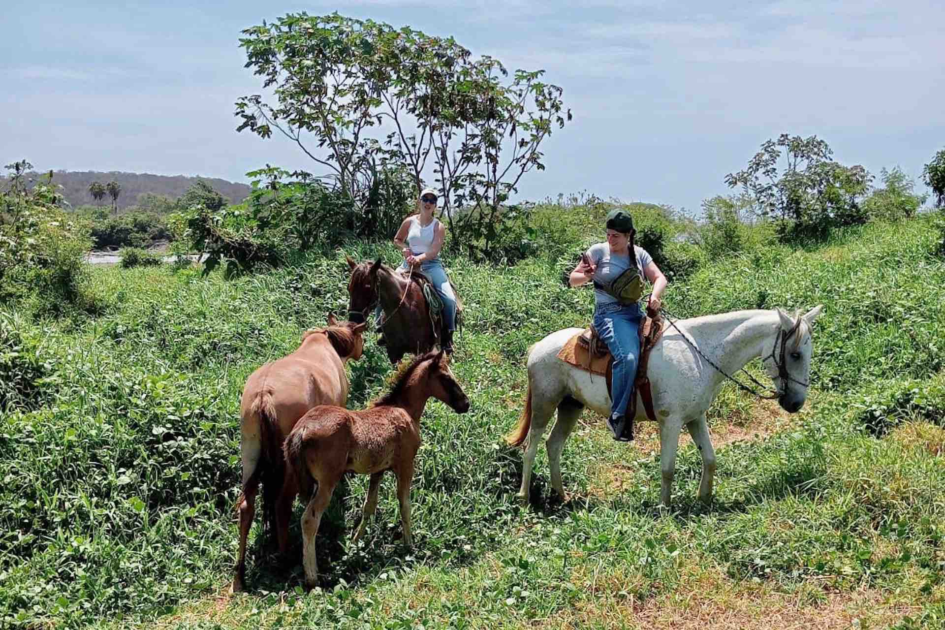 beach horseback riding copalita huatulco tours in nature
