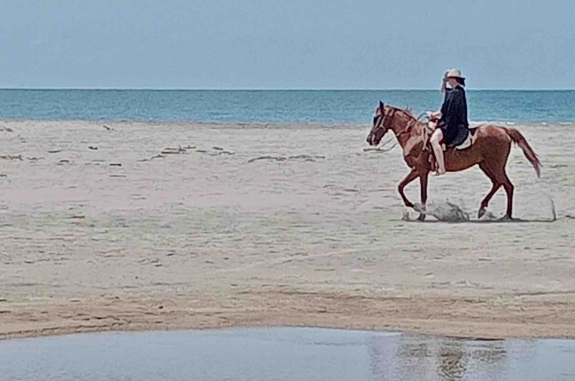 beach horseback riding copalita huatulco tours woman