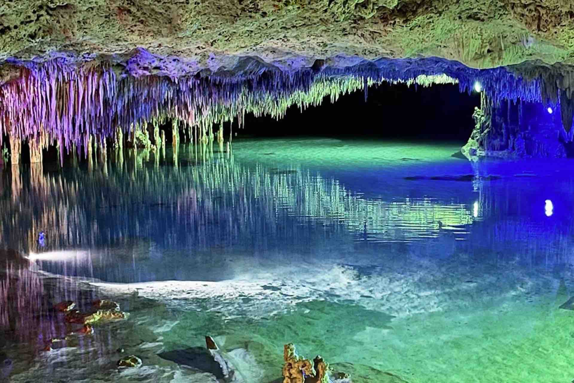 Mexico Cenote Playa del carmen tulum tour cave