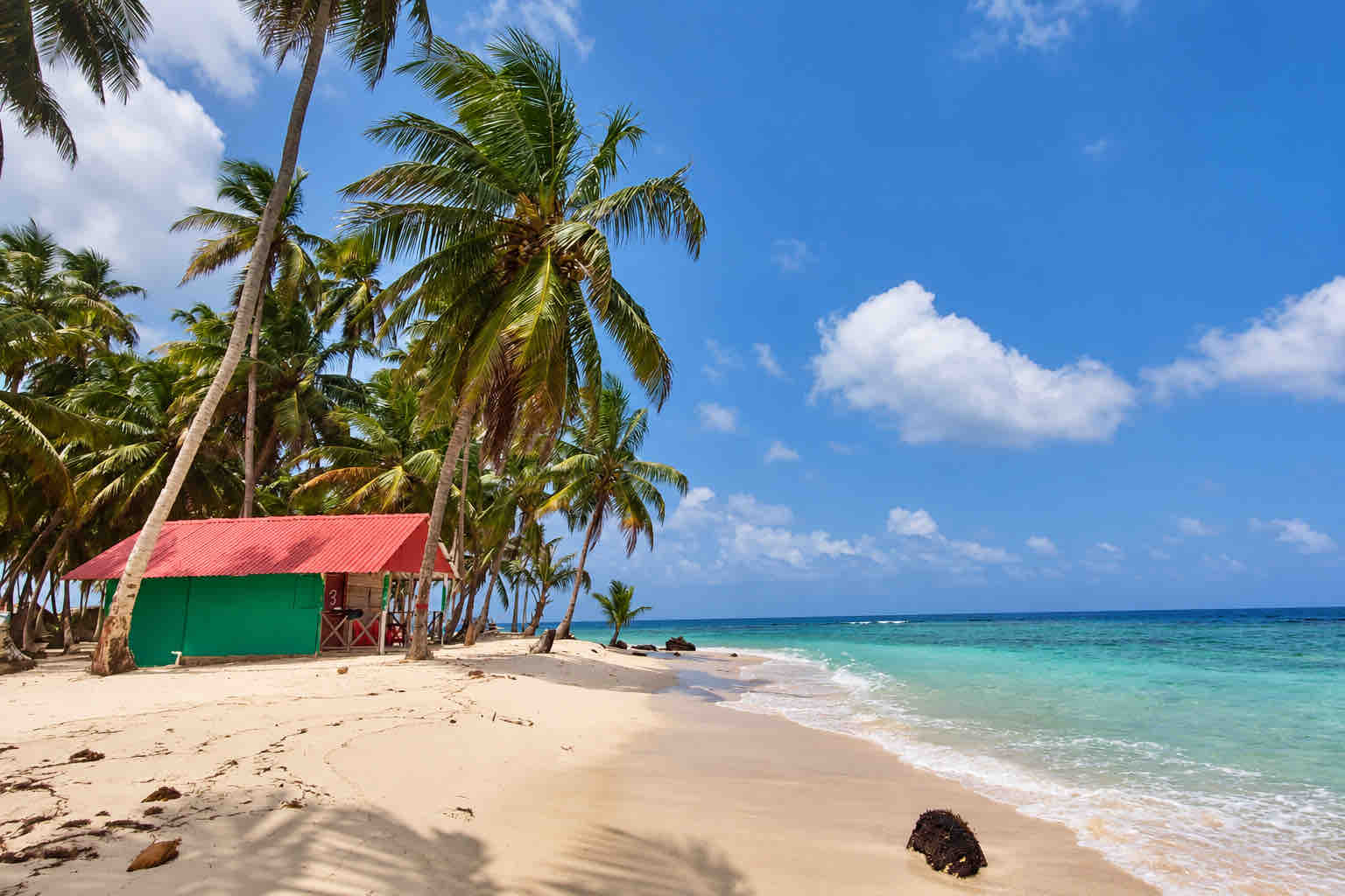 Green beachfront cabin with a red roof beneath coconut palms at Isla Asserya on a San Blas beach trip
