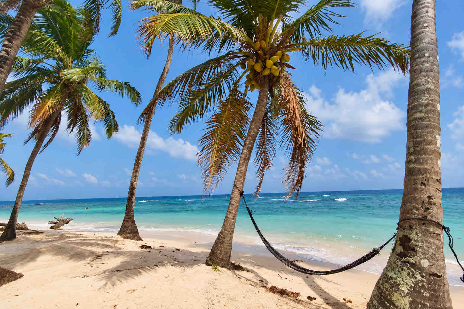 Hammock between coconut palms beside turquoise water at Isla Asserya on a San Blas beach trip