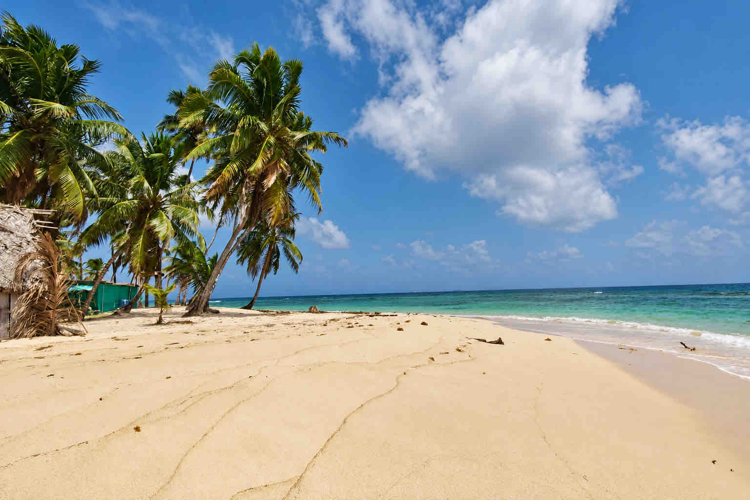 Wide sandy beach with coconut palms and clear sea at Isla Asserya on a San Blas beach trip