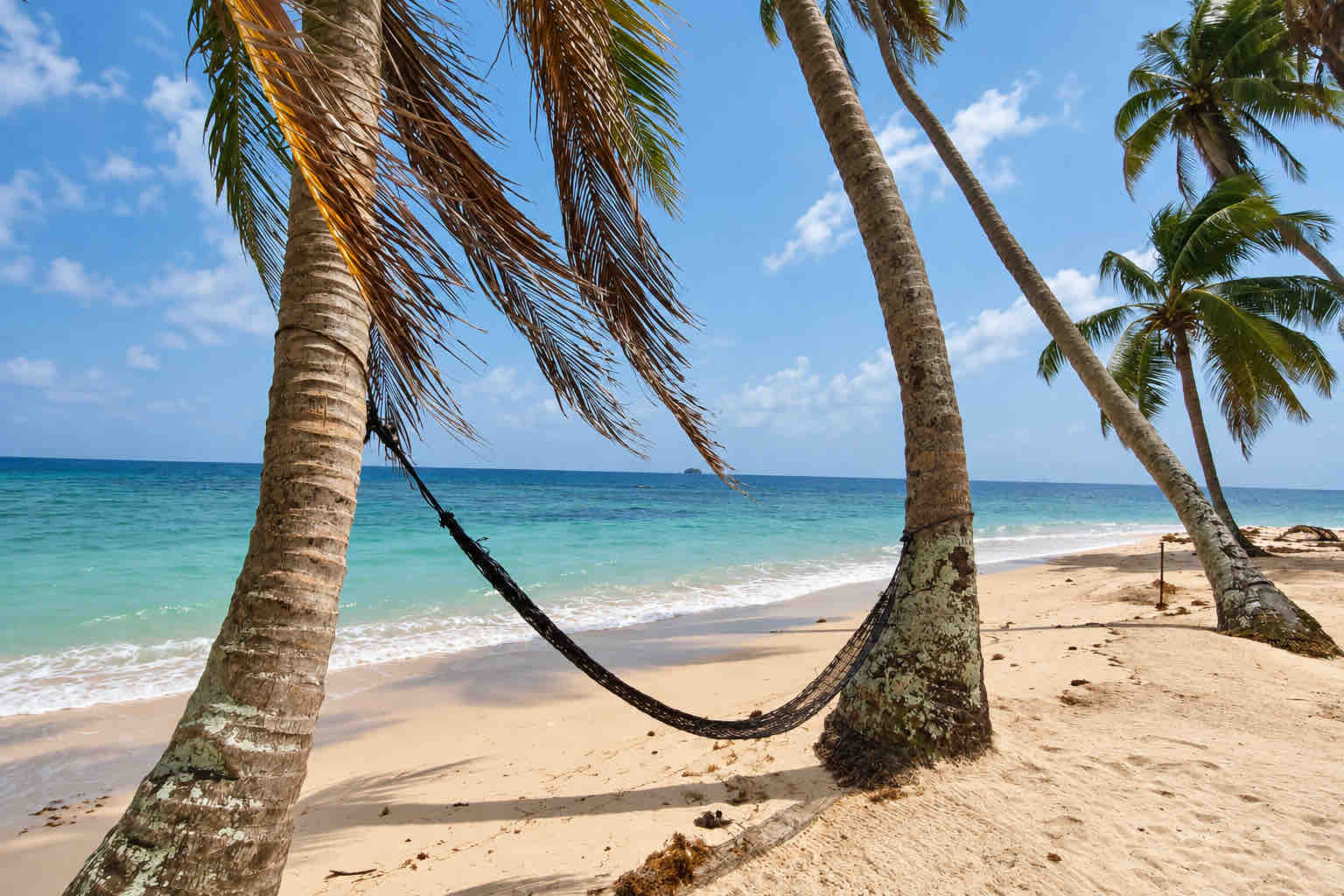 Beach hammock suspended between coconut palms overlooking the sea on a San Blas beach trip