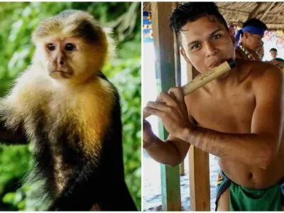 Tribu Embera Panamá Isla de los Monos Panamá tours que hacer en Panamá