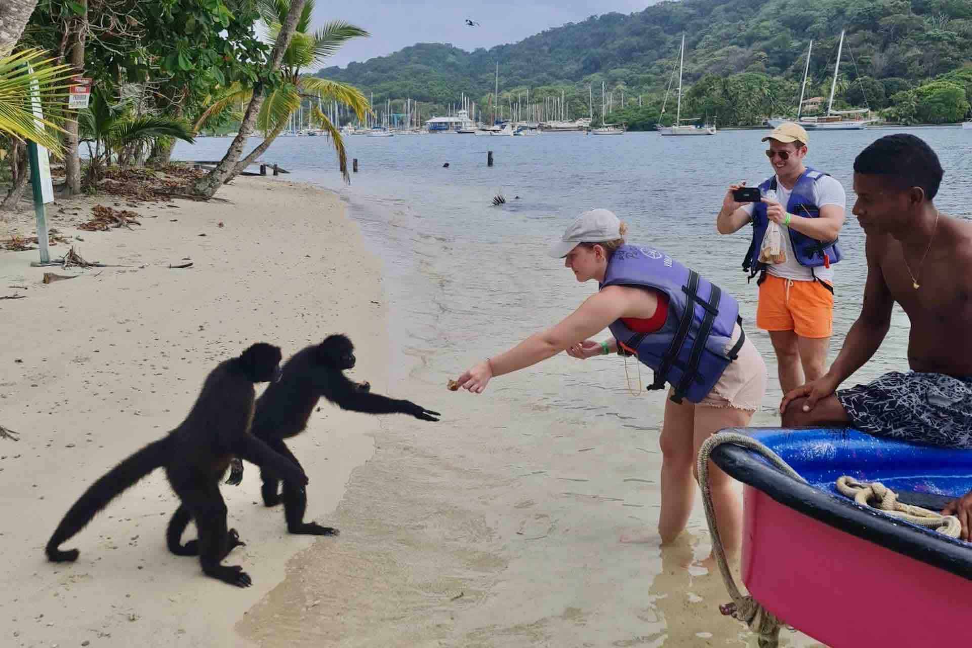 Panama Isla Linton guests feeding monkeys Caribbean Coast 1