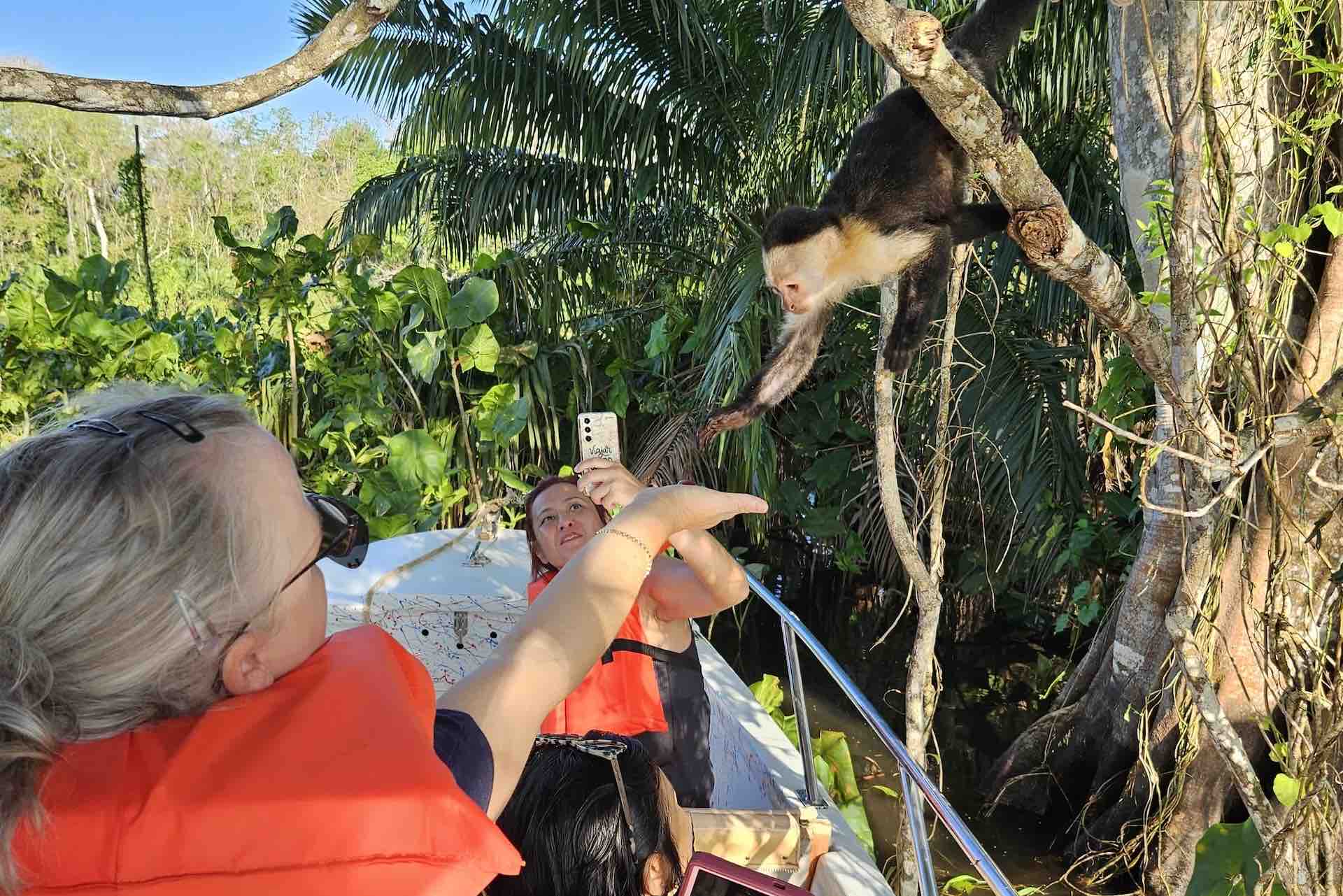 Guest observing a capuchin monkey from a boat during a Monkey Island and Embera Village Tour