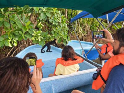 Capuchin monkey beside a tour boat during a Monkey Island Boat Tour Panama