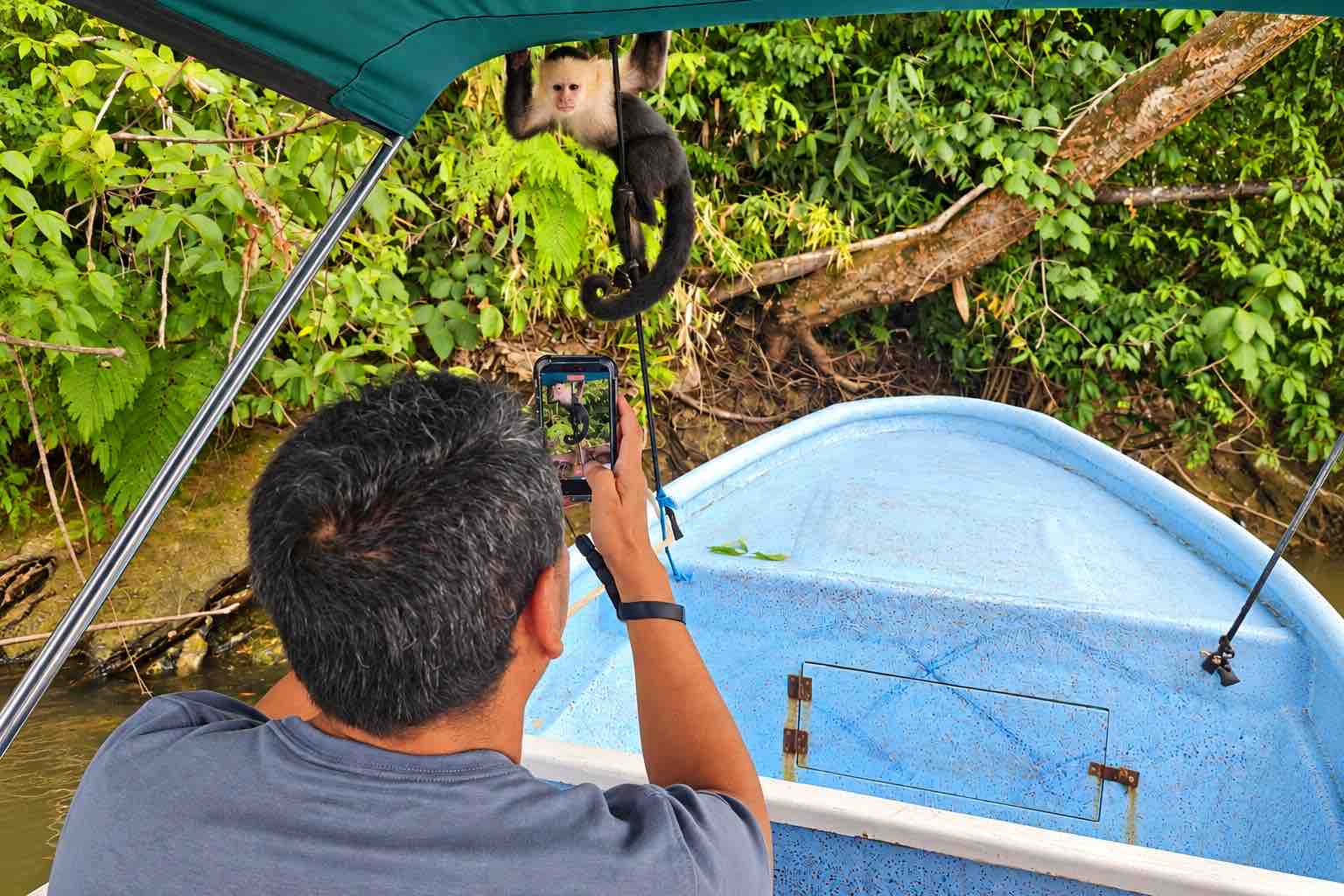 Visitor photographing a capuchin hanging above the bow on a Monkey Island boat tour Panama