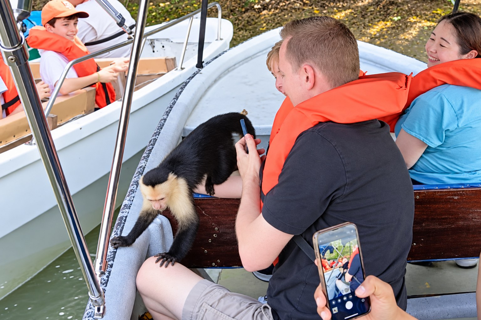 Monkey Island boat tour Panama: White-faced capuchin climbing beside seated visitors in a boat