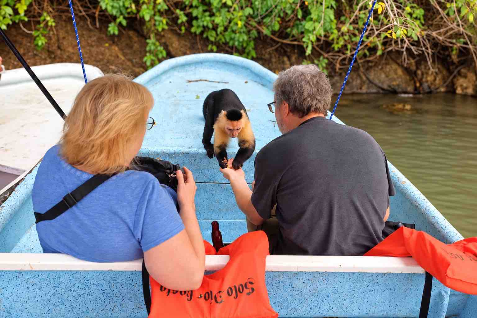 Two visitors watching a capuchin on a Monkey Island boat tour Panama