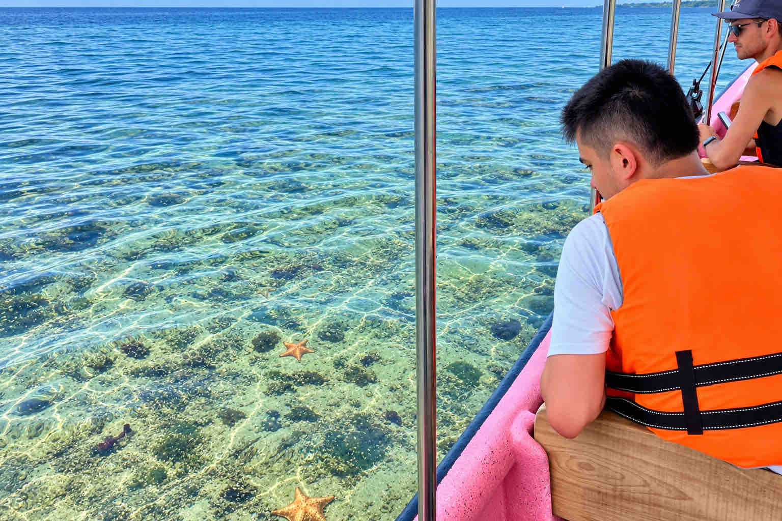 Travelers looking from a pink boat at starfish visible beneath shallow water.