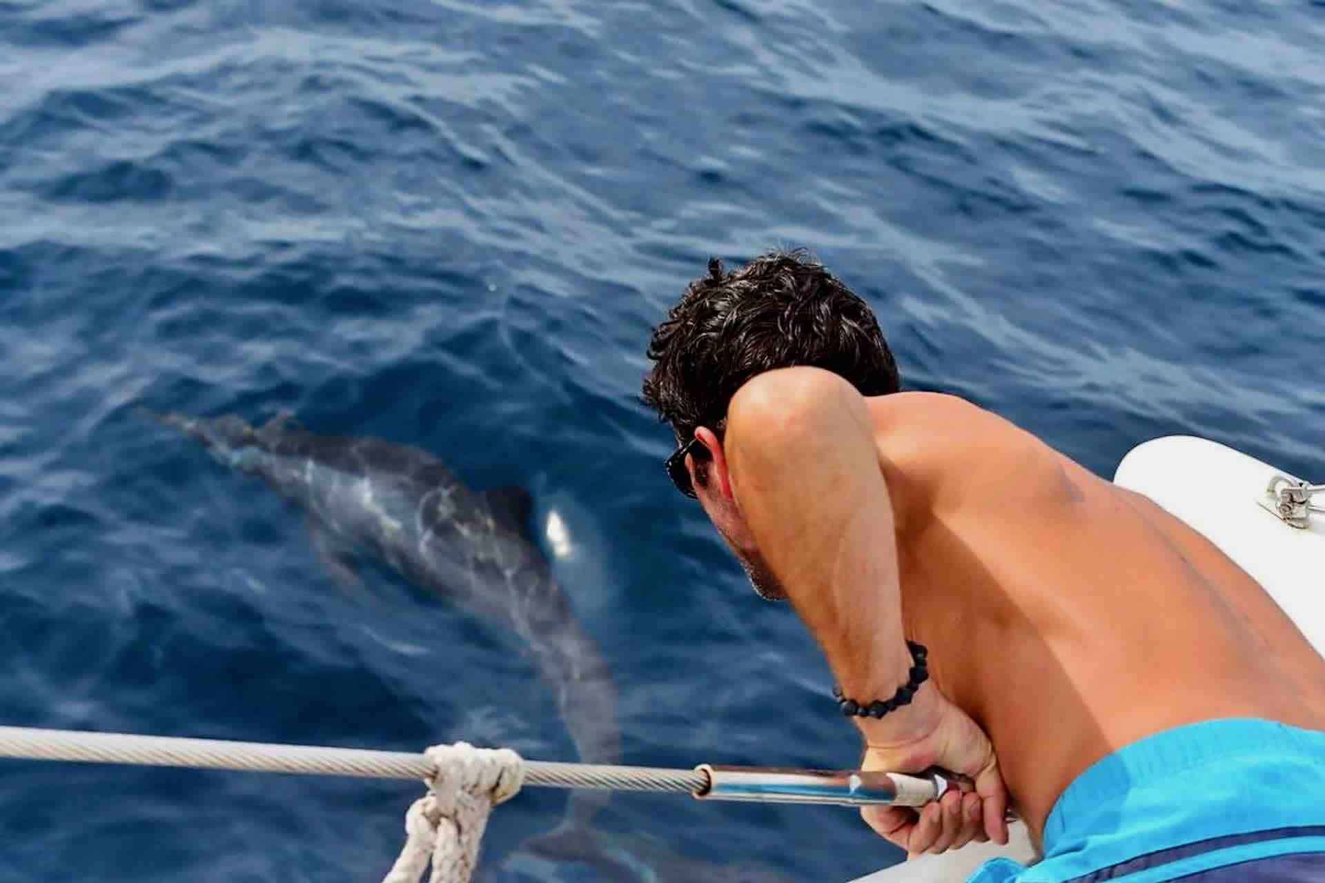 L'Eclectik II catamaran sailing life experience captain with dolphin