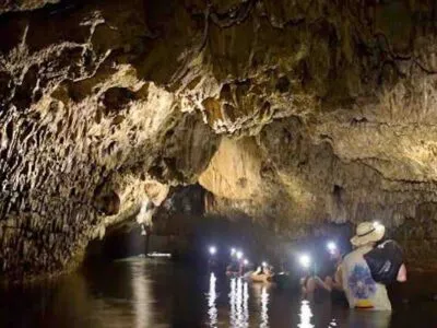 Visite a los invitados en bocas del toro cueva de murciélagos con faros