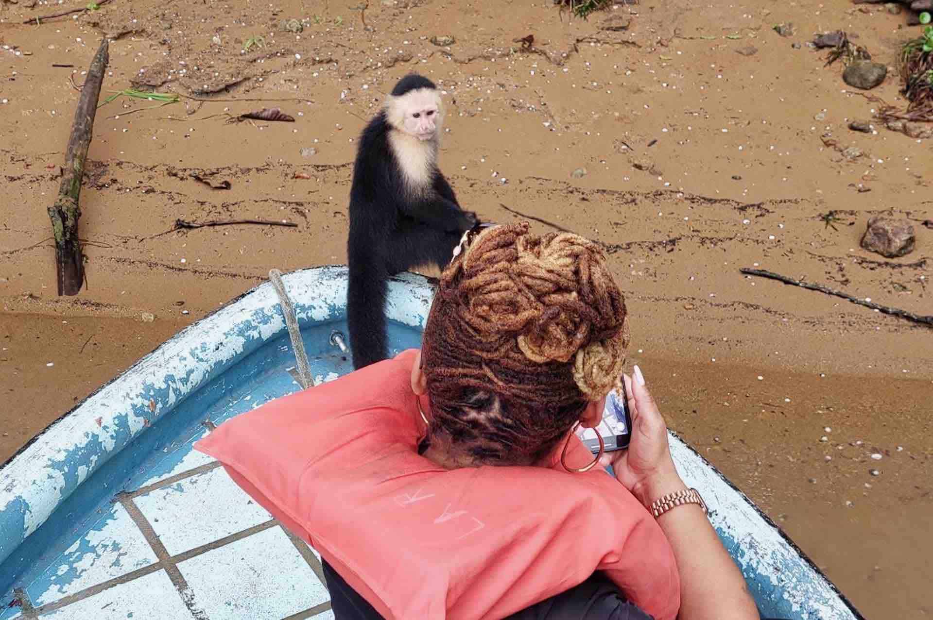 monkey island panama sloth sanctuary tour monkey looking at woman