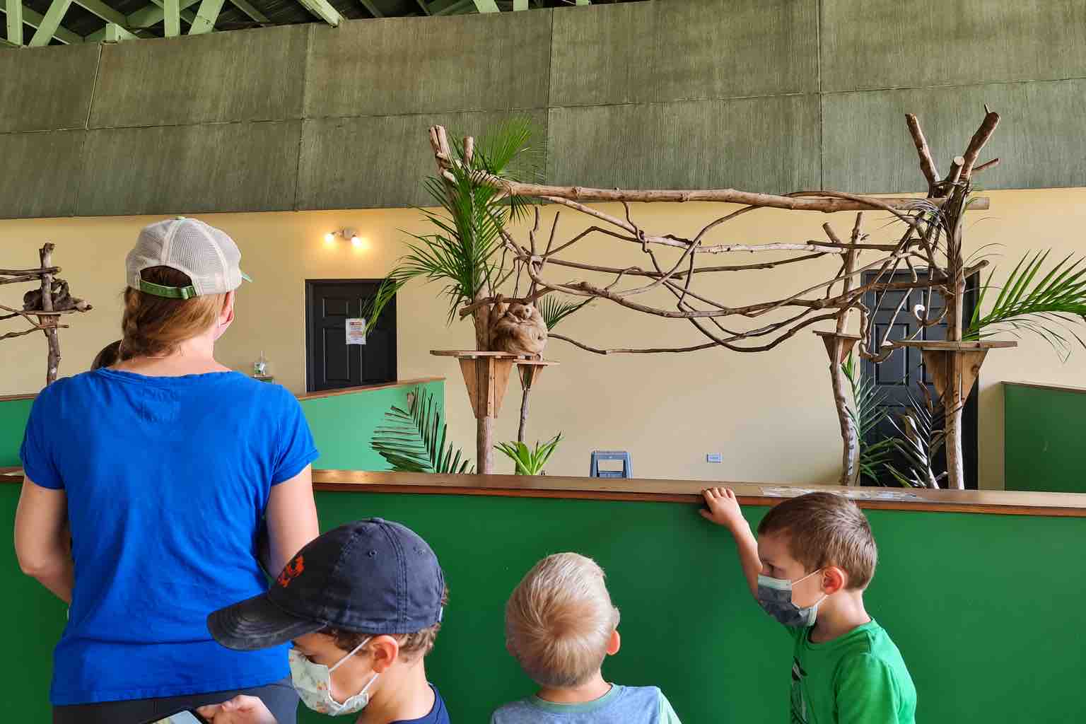 Monkey Island Panama Tour image: adult and children watching the sloth habitat behind a green barrier
