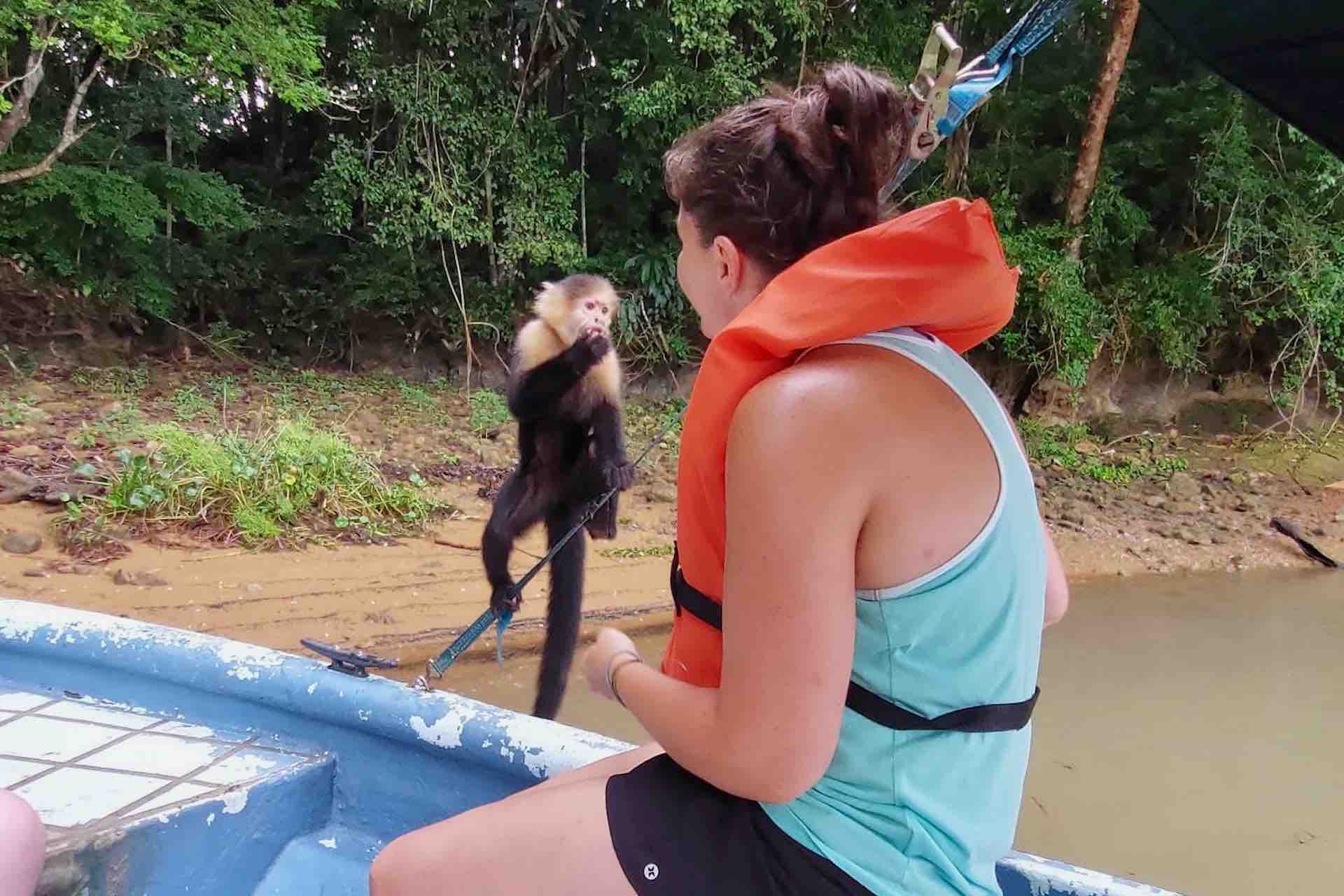 monkey island panama tour monkey eating sloth sanctuary