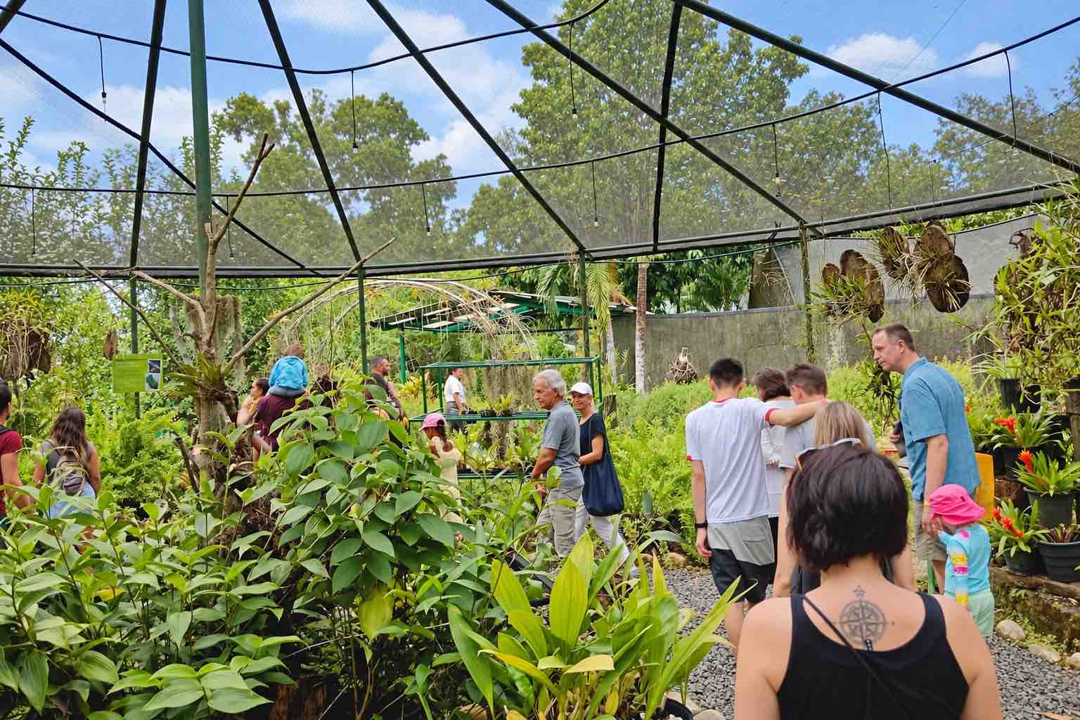 Monkey Island Panama Tour image: guests walking among plants inside a screened orchid exhibit