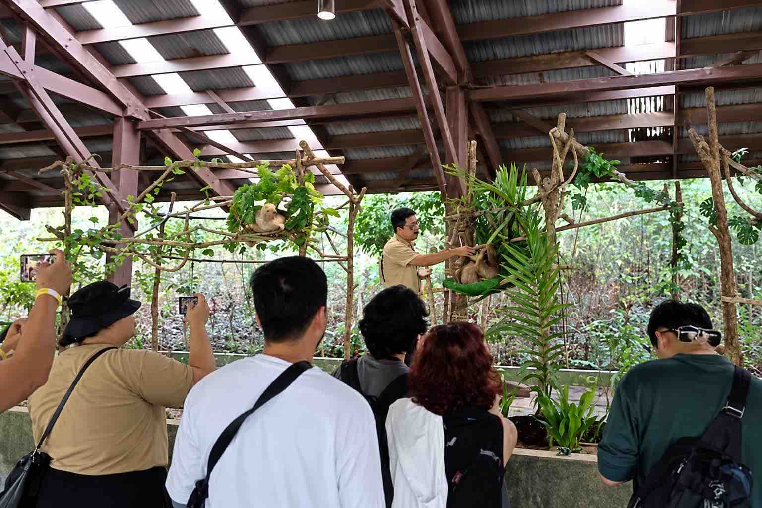 Monkey Island Panama Tour image: visitors watching a guide beside the sloth habitat